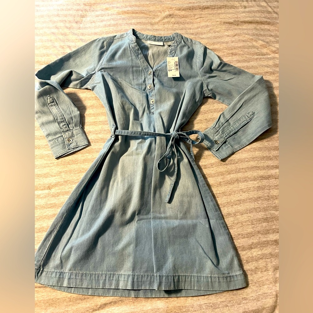 Adorable girls Jean dress